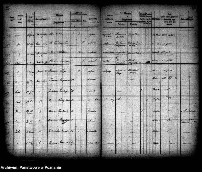 Obraz 14 z jednostki "Księga zgonów"