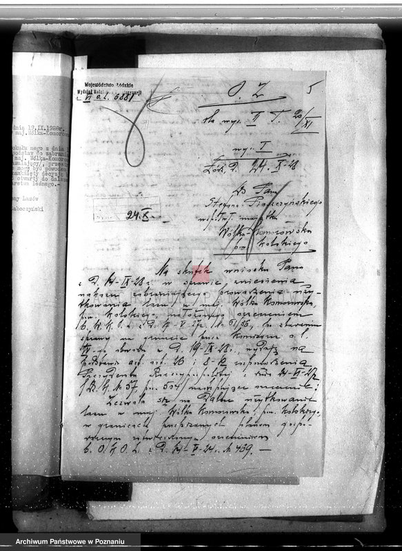 Obraz 9 z jednostki "Sprawa zniesienia nakazu zabraniającego prowadzenia użytkowania lasu w majątku Wólka-Komorowska powiat kolski gmina Izbica"