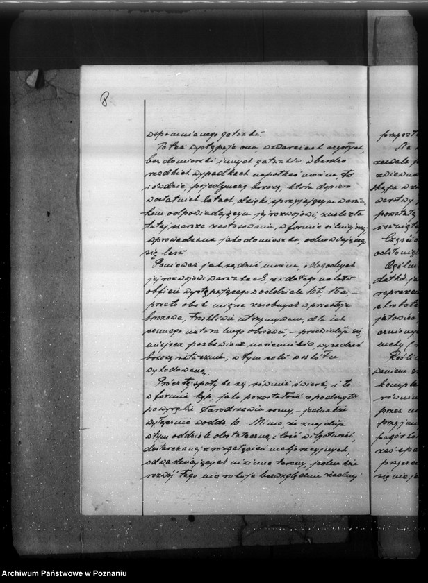 Obraz 12 z jednostki "Plan gospodarczy lasów majątku Stefanowo w powiecie nowotomyskim"