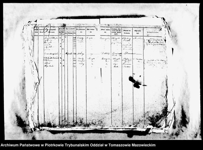 Obraz 13 z jednostki "[Księga Ludności Stałej]"