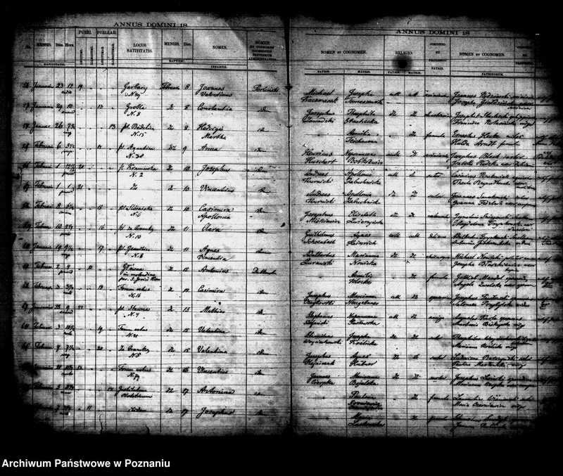 Obraz 5 z jednostki "Księga urodzin"