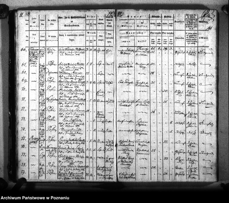 Obraz 14 z jednostki "Sterbenbuch"