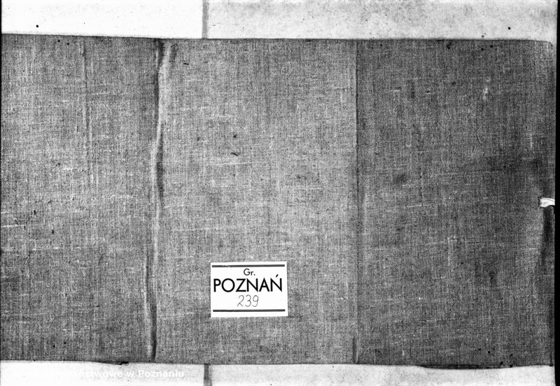 Obraz 3 z jednostki "Inscriptiones [inducta]"