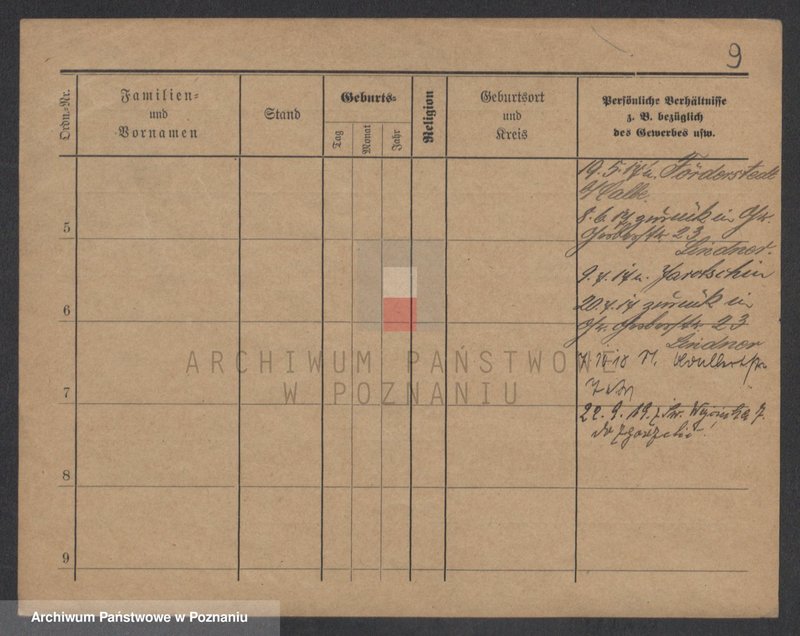 Obraz 20 z jednostki "Stemler - Steńko"