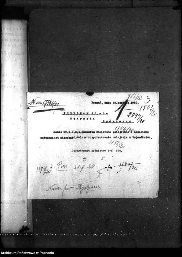 Obraz 7 z jednostki "Nosacizna - Bydgoszcz"