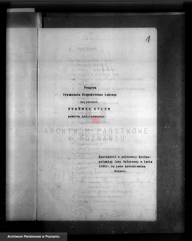 Obraz 5 z jednostki "Plan urządzania gospodarstwa leśnego majętności Borówkowo-Stare powiat. kościański"