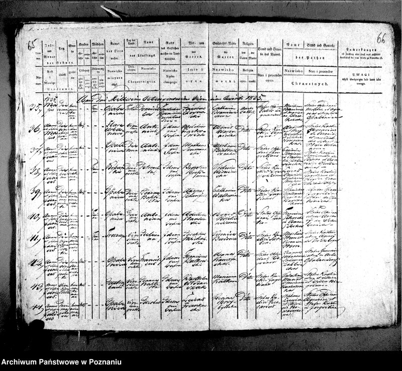 image.from.unit.number "Liber baptisatorum"