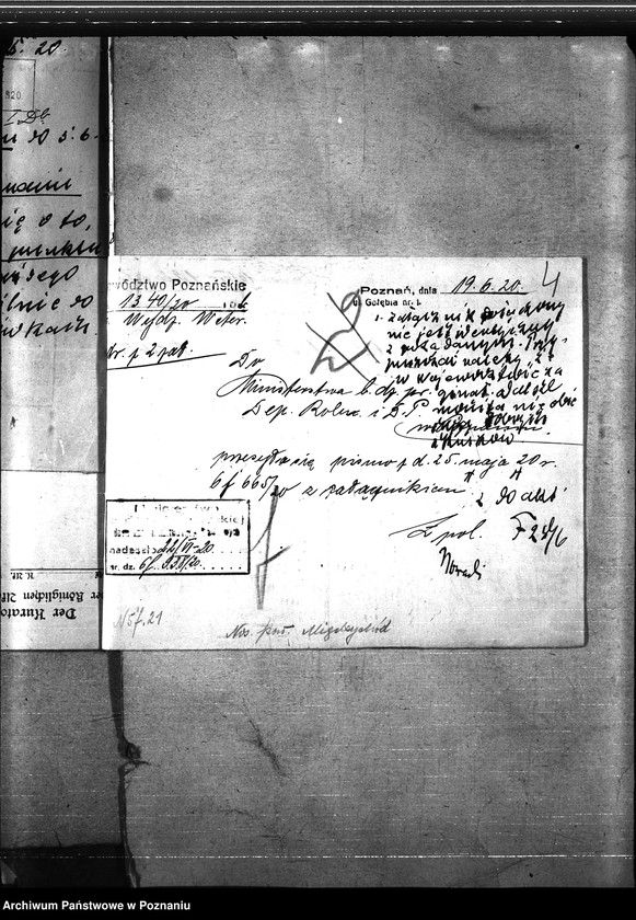 Obraz 8 z jednostki "Nosacizna - Międzychód"