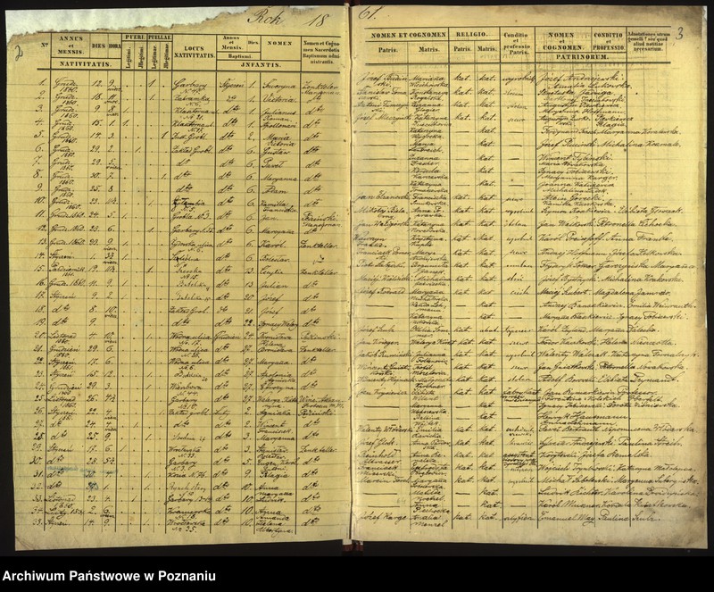 Obraz 4 z jednostki "Księga urodzin"