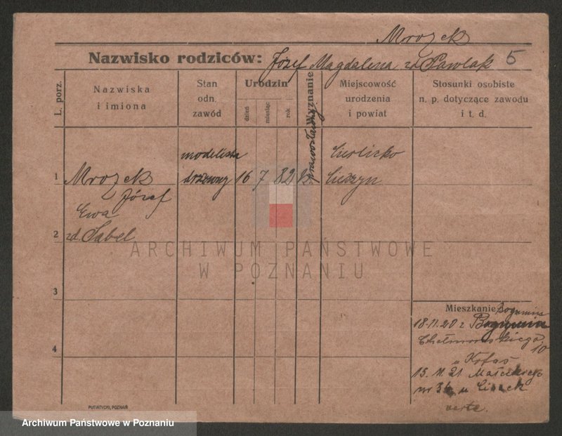 Obraz 5 z jednostki "Mrozek - Mucha"