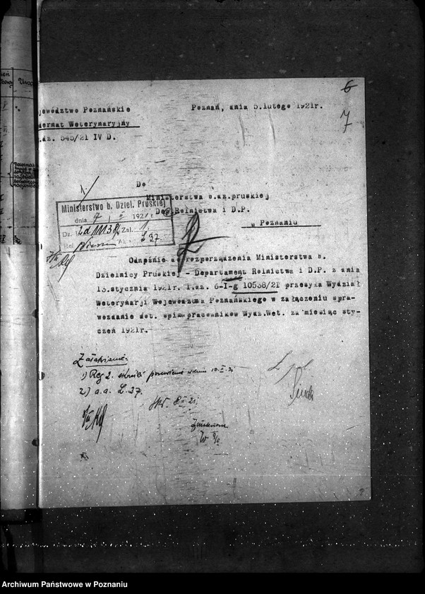 Obraz 11 z jednostki "Sprawy osobowe Poznański Urząd Wojewódzki [personalne - sprawozdania miesięczne]"