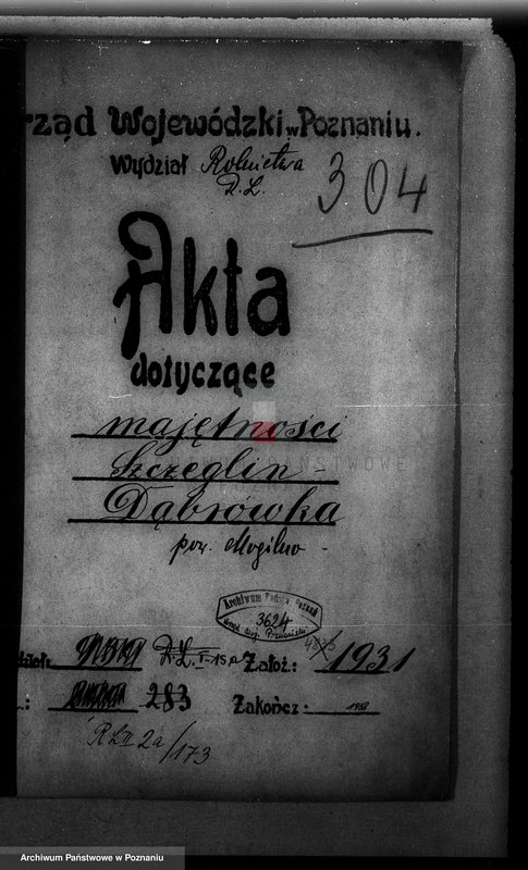 Obraz 4 z jednostki "Majętność /leśna/ Szczeglin Dąbrówka w powiecie mogileńskim"