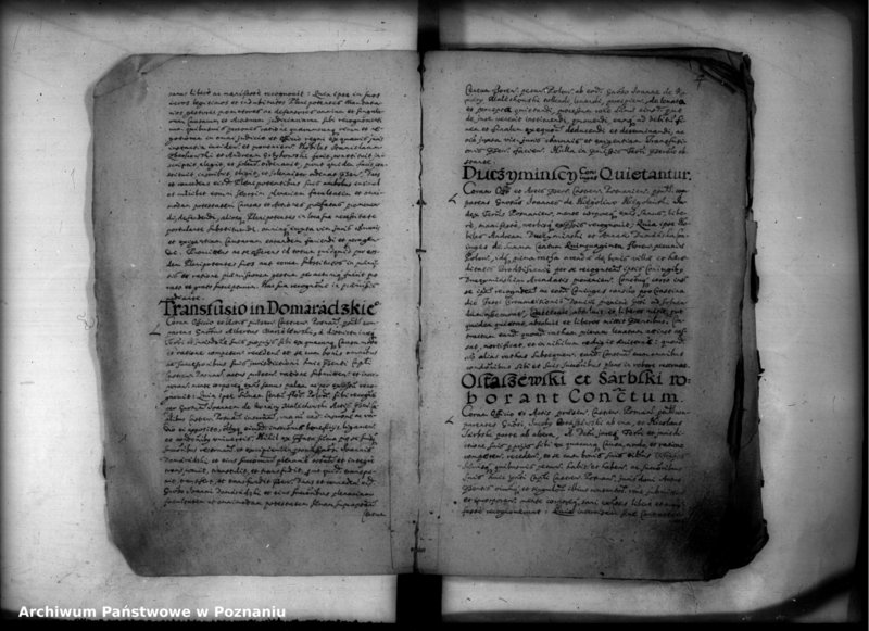 Obraz 8 z jednostki "Inscriptiones [inducta]"