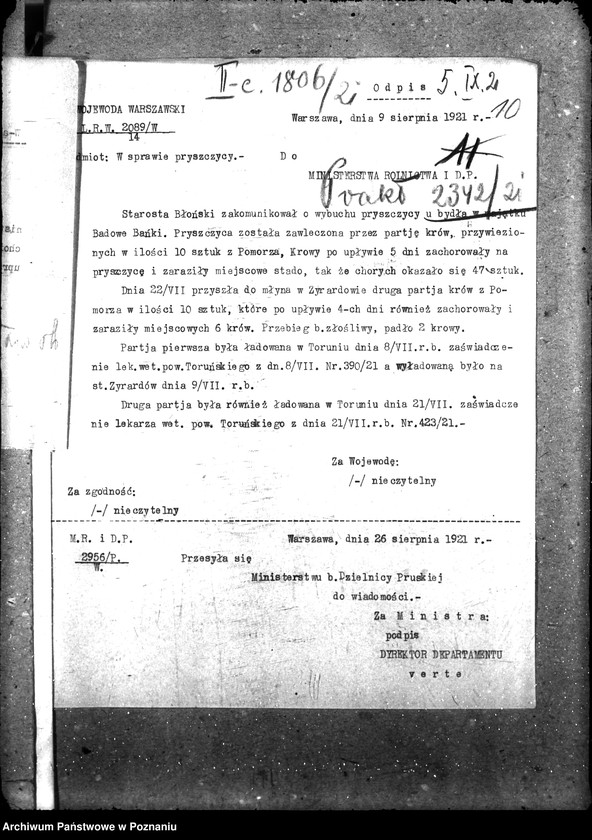 Obraz 15 z jednostki "Weterynaria"