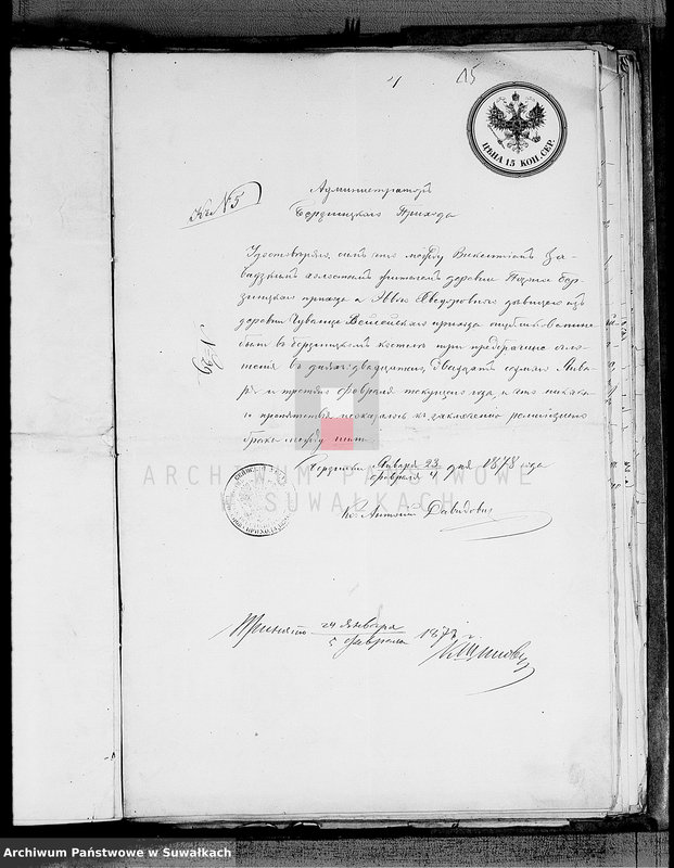 image.from.unit.number "Dokmenty v Aktam brakosočetanij Vejsejskogo Rimsko-Katoličeskogo pichoda 1878 goda"