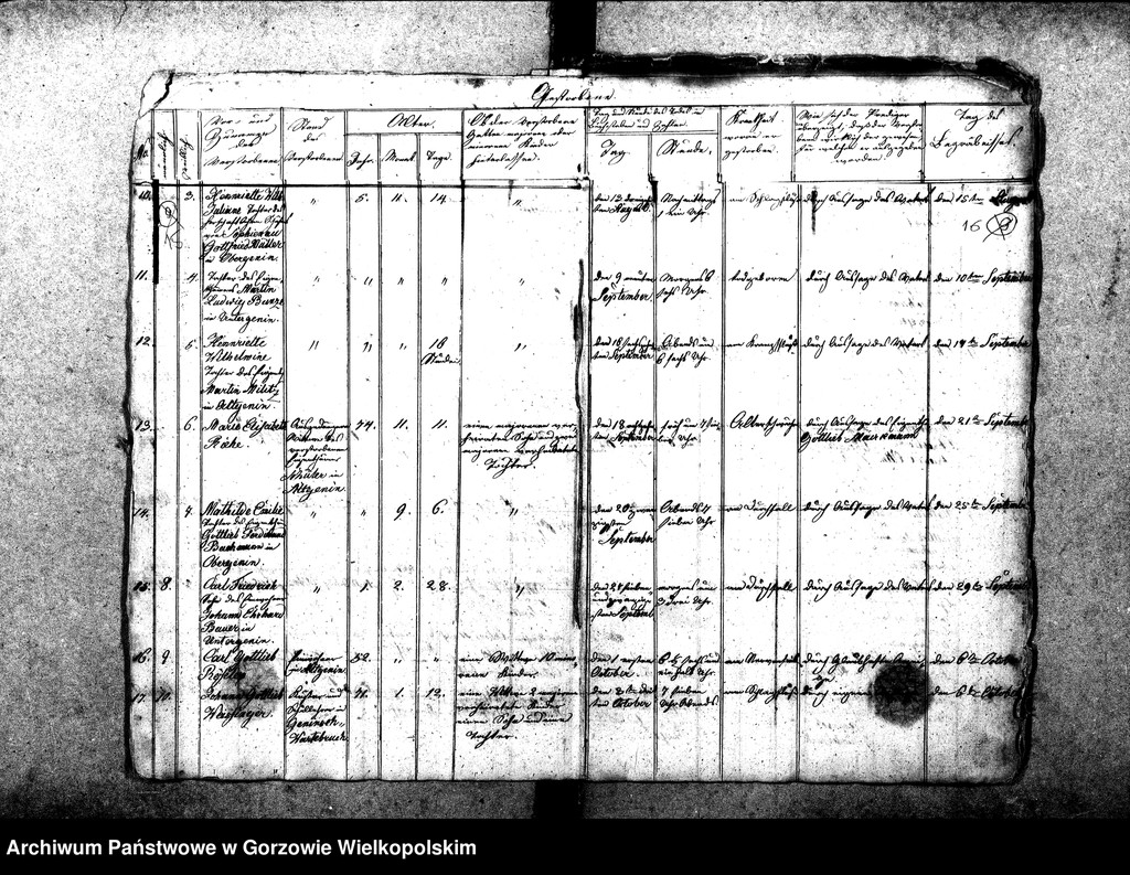 image.from.unit.number "Duplikate der Kirchenbücher von der Parochie Genninsch Warthebruch: Spiegel (Poźrzadło), Blumenthal (Kwiatkowice), Ludwigsthal (Trzęsów), Bergenhorst (Gorzębia), Haferwiese (Gosławka), Pollychener Hollander (Nowe Polichno), Gross Rehne (Rań), Alt Gennin (Jeninek), Ober Gennin (Jeniniec), Unter Gennin (Podjenin)"