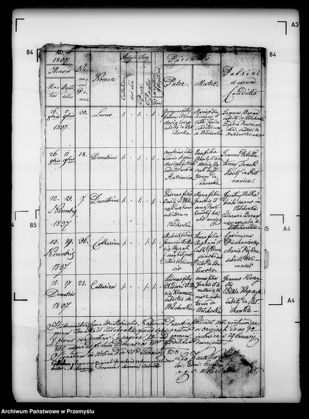 Obraz 14 z jednostki "[Kopie ksiąg metrykalnych parafii Wolica z filiami Bełchówka, Zboiska (dekanat Buków)]"