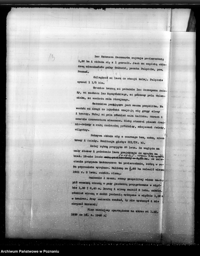 Obraz 16 z jednostki "Program urządzenia gospodarstwa leśnego lasu St. A i M Kaczmarków w gminie Gołuski powiat poznański 1930-1940"