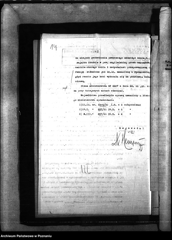 Obraz 18 z jednostki "Nosacizna - Ostrów"