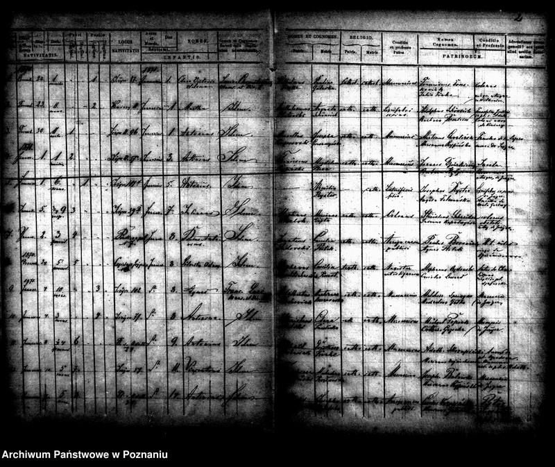 Obraz 3 z jednostki "Księga urodzin"