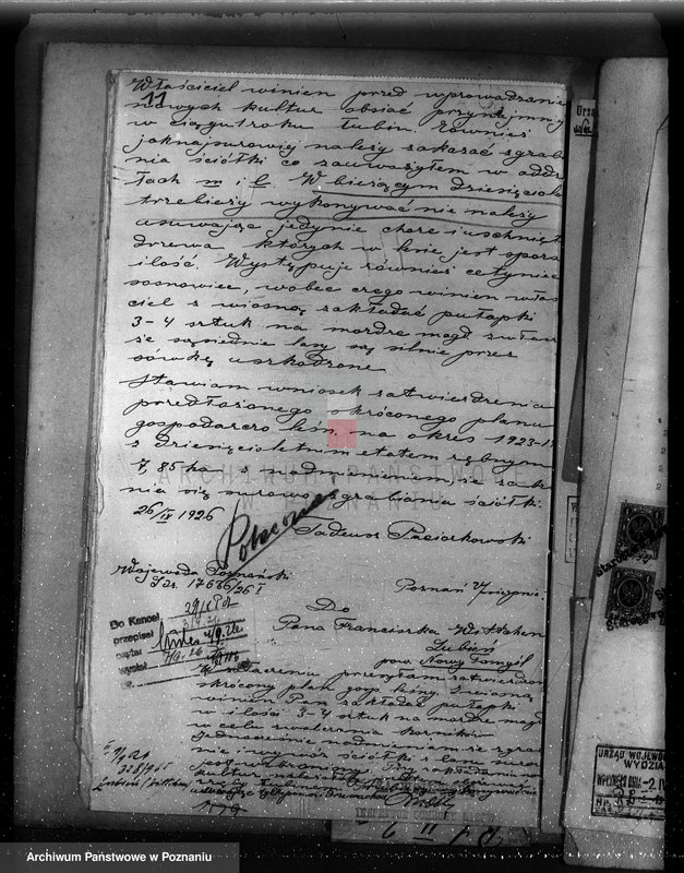 Obraz 15 z jednostki "/Nadzór nad gospodarką w lasach majątku Lubień-Helowskie w powiecie nowotomyskim"