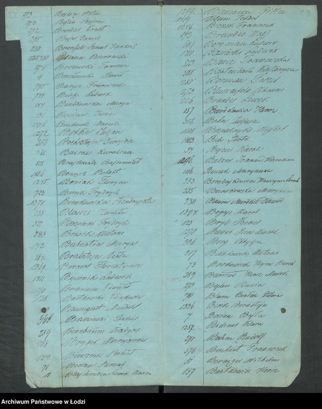 Obraz 17 z jednostki "Skorowidz [...]"