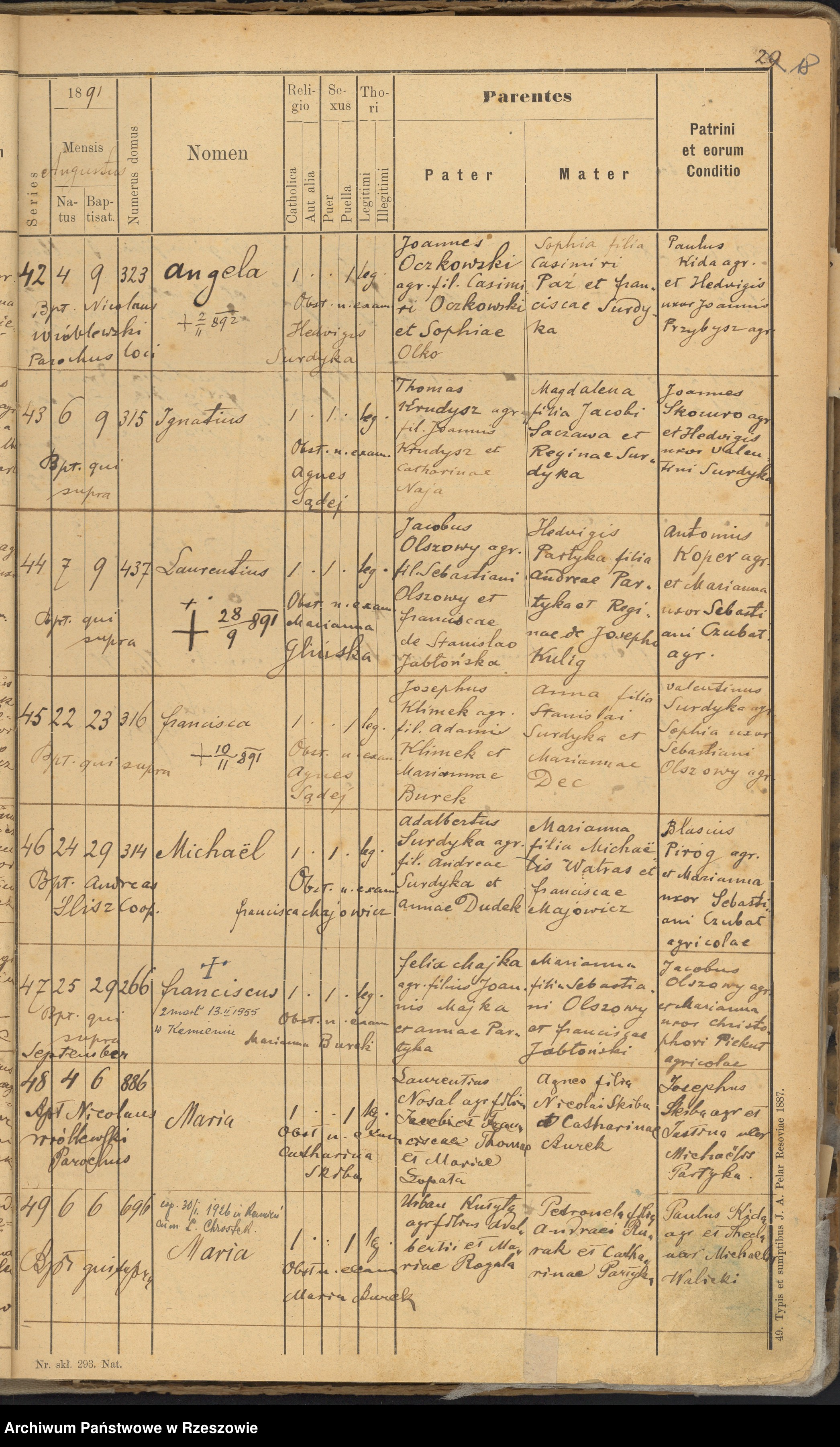 Skan z jednostki: Księga urodzeń - Kamień