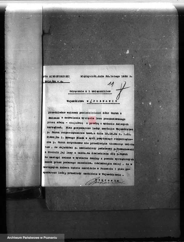 Obraz 16 z jednostki "Majętność leśna Mniszki w powiecie międzychodzkim"