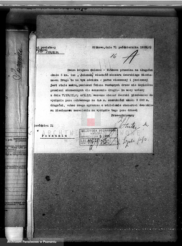 Obraz 20 z jednostki "Majętność /leśna/ Ni echanowo w powiecie gnieźnieńskim"