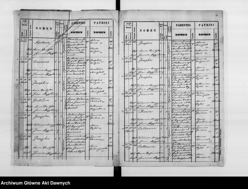 image.from.unit.number "Parafia: Hałuszczyńce. Dekanat: Skałat. Księga metrykalna urodzeń, ślubów i zgonów dla wsi: Hałuszczyńce*, Chmieliska*, Chodaczków Mały**, Konstantynówka, Romanowe Sioło, Żerebki Królewskie, Żerebki Szlacheckie."