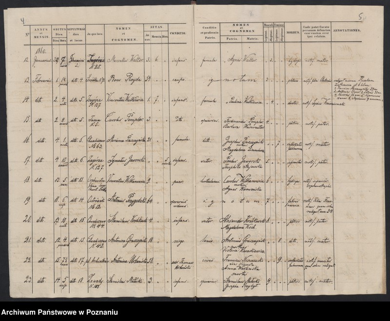 Obraz 5 z jednostki "Księga zgonów"