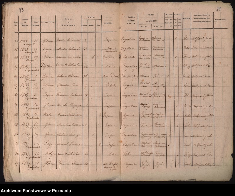 Obraz 15 z jednostki "Księga urodzeń, małżeństw i zgonów"