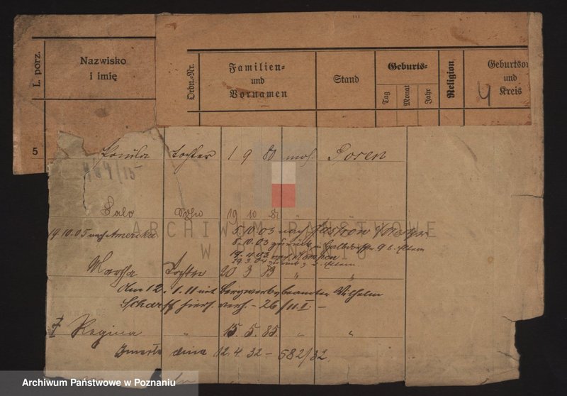 Obraz 11 z jednostki "Szwarc (żonaci i wdowy)"