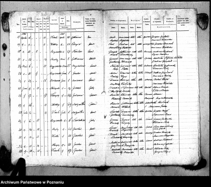 Obraz 5 z jednostki "Duplikat baptisatorum"