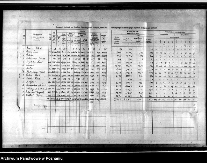 Obraz 12 z jednostki "Viehzählung"