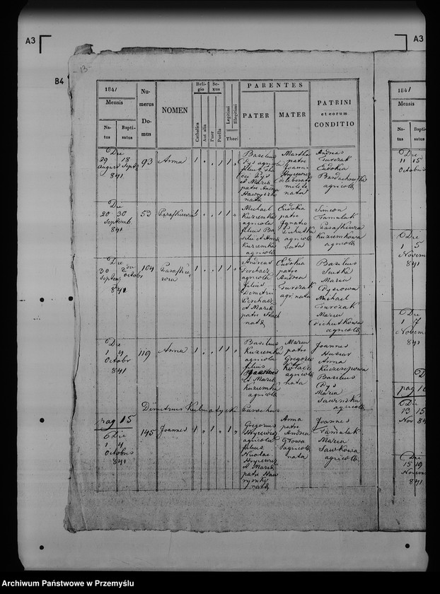 Obraz 18 z jednostki "[Kopie ksiąg metrykalnych parafii Maćkowice z filią Kosienice (dekanat Przemyśl)]"