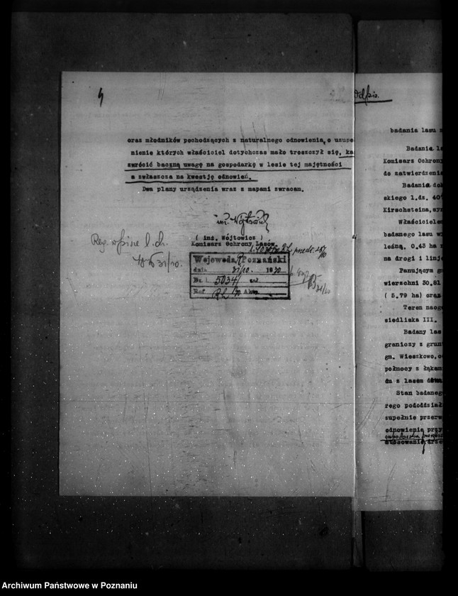 Obraz 9 z jednostki "Majętność /leśna/ Wieszkowo powiat kościański"