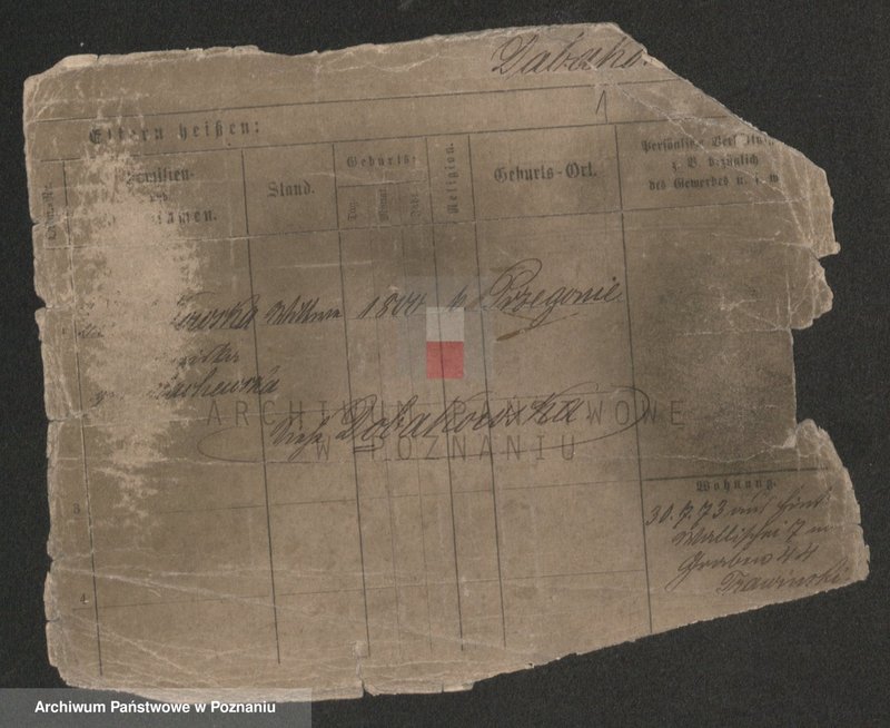 Obraz 3 z jednostki "Daab - Dalkowiecki"