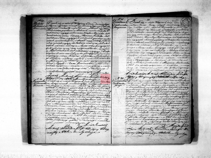 Obraz 13 z jednostki "Duplikat akt urodzonych, zaślubionych i zmarłych parafii wiżajńskiej na rok 1866"