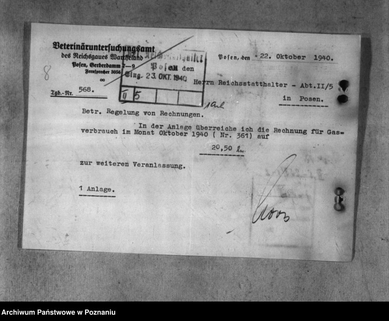 Obraz 12 z jednostki "Veterinärverwaltung"