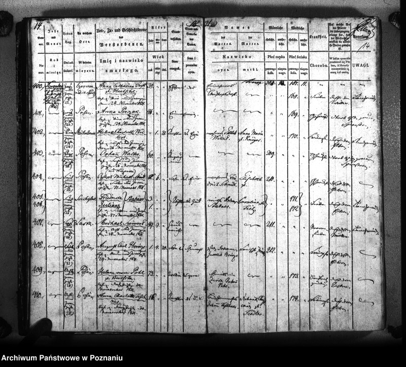 Obraz 17 z jednostki "Sterbenbuch"