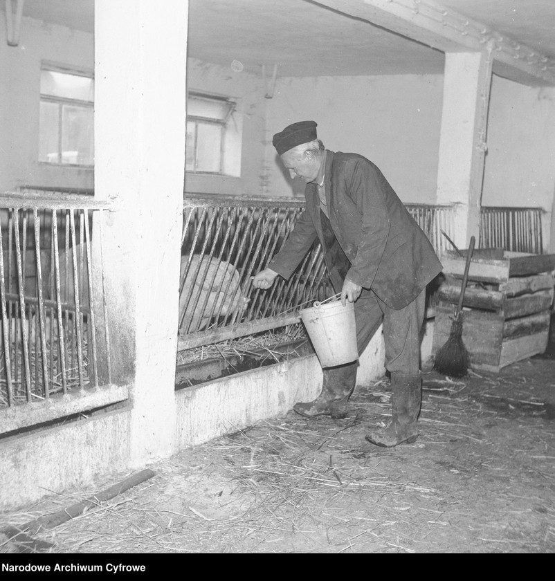 image.from.unit.number "Spółdzielnia Kółek Rolniczych w Siemyślu"