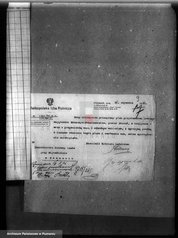 Obraz 12 z jednostki "Majętność leśna Wronczyn-Pomarzanowice powiat poznański"