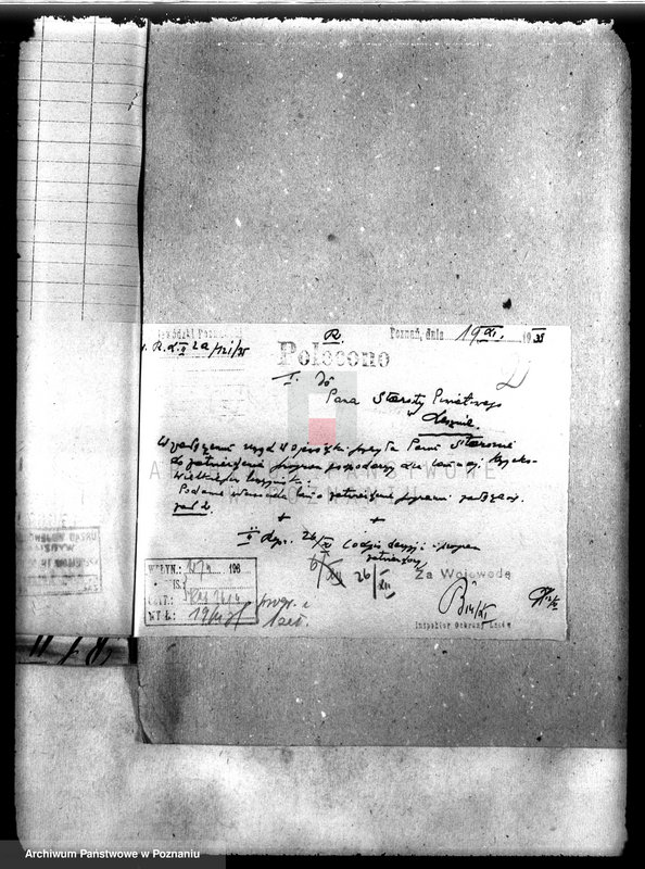 Obraz 6 z jednostki "Las majątku Krzycko Wielkie powiat leszczyński"