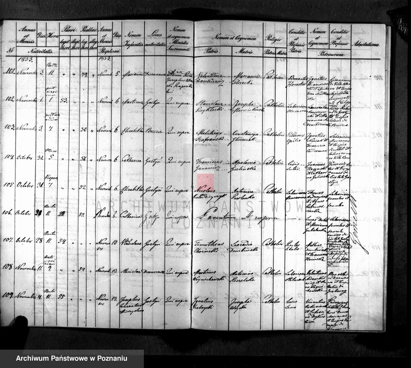 Obraz 12 z jednostki "Liber baptisatorum, copulatorum, mortuorum"