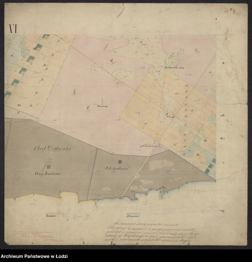 Obraz 13 z jednostki "Pieroworys Urządzenia Majoratu Radziechowice składający się z folwarków Radziechowice i Dąbrówka, Kolonii Radziechowice Brodowe i Dąbrowka, osady Czerkowizna, młyna Klekot oraz lasów przyległych ..."