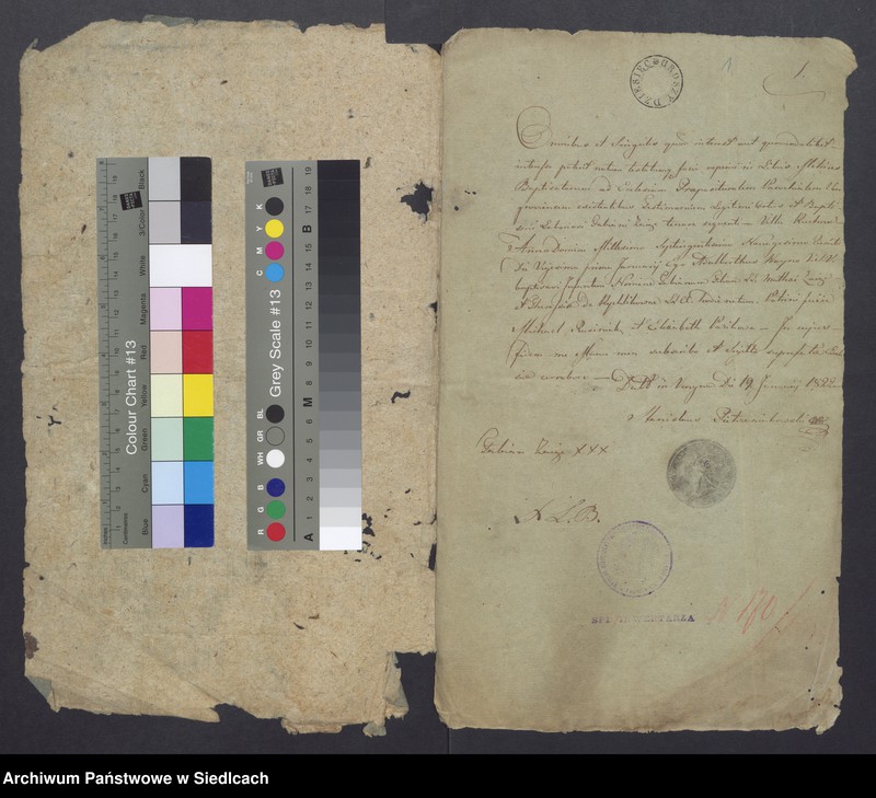 Obraz 3 z jednostki "Dowody do akt małżeństw"