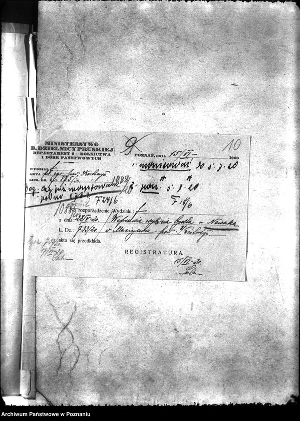 Obraz 14 z jednostki "Zaraza płucna - Krotoszyn"