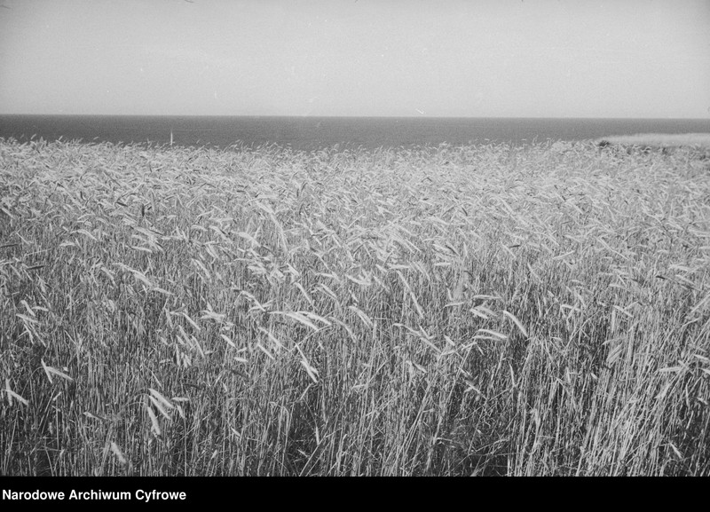 image.from.object.part1 image.from.object.part2