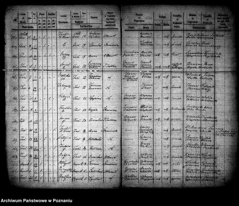 Obraz 14 z jednostki "Księga urodzin"